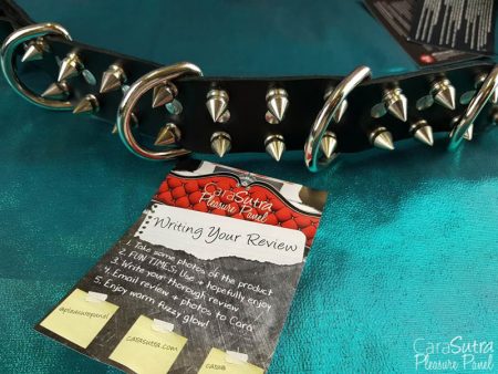 Puppy Play Spiked Leather Alpha Dog Collar Review