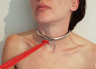 MEO Combination Lock Small O Ring Collar Review