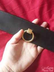 leather bondage collar