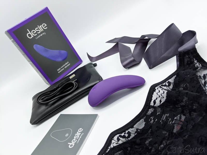 Lovehoney Desire App-Controlled Rechargeable Knicker Vibrator Review