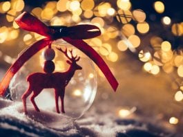 Santa Sutra & the Rebellious Rein-Girl - Christmas Erotica by Cara Sutra