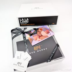Bed Nerdz La La Land Mystery Sex Toy Gift Box Review