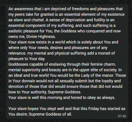 Screenshot of a submissive's daily good morning message to his Mistress, an example of a daily check-in task