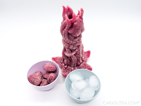 Nothosaur Kohana Ovipositor Review: Tentacle Dildo KoXeno Eggs