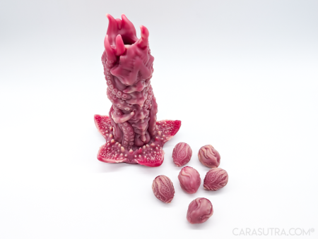 Nothosaur Kohana Ovipositor Review: Tentacle Dildo KoXeno Eggs