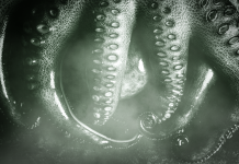 Monster Sex Fantasies Kink: Tentacles, Werewolves and Erotic Fear Play