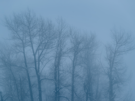 Why I Love Winter: A Slower Rhythm, Darkness, and the Permission to Rest