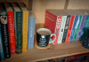 Writing With a Spine A warm wooden bookshelf with books on either side and a tea cup resting in the empty space where a book would normally sit