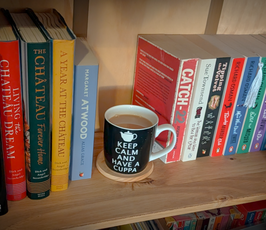 Writing With a Spine A warm wooden bookshelf with books on either side and a tea cup resting in the empty space where a book would normally sit