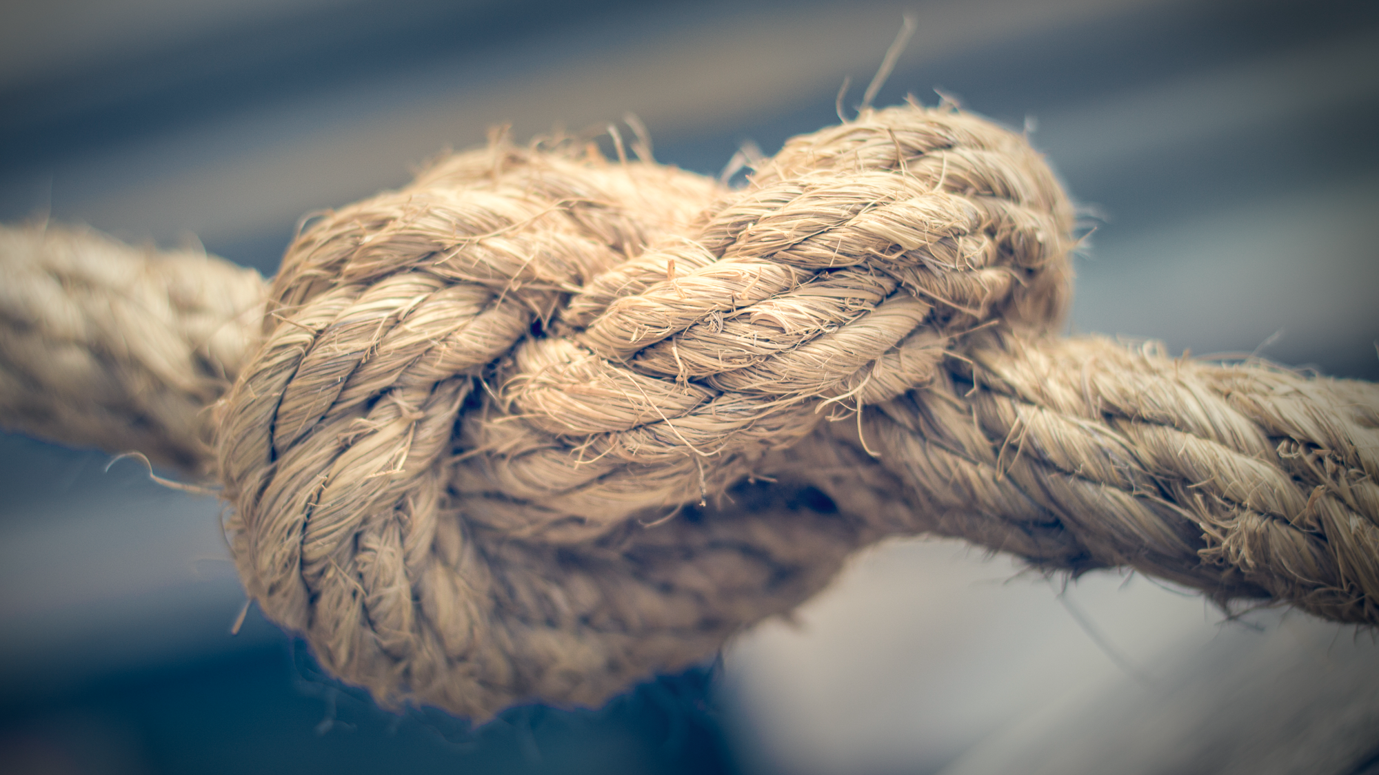 Close-up of a thick rope tied in a firm knot, showing texture and wear