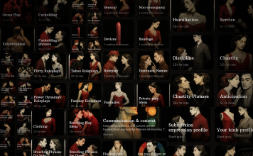 BeMoreKinky App Review: A BDSM App for Couples