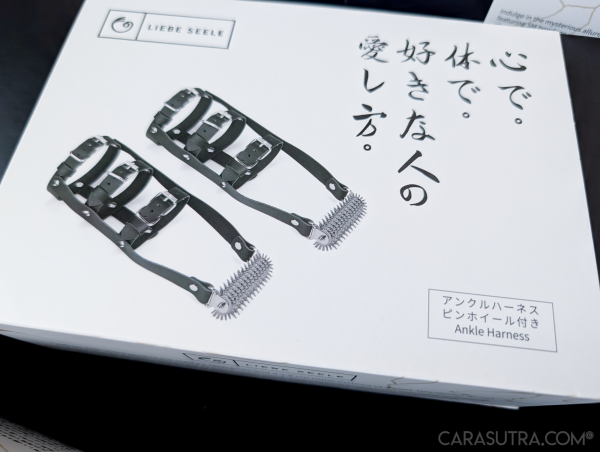 Liebe Seele Leather High Heel Ankle Harness with pinwheel spikes in packaging, sneak peek of upcoming predicament bondage review
