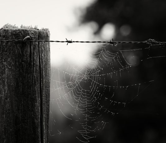 The Matriarchy of Salvation: penny’s Diary, Part Seven